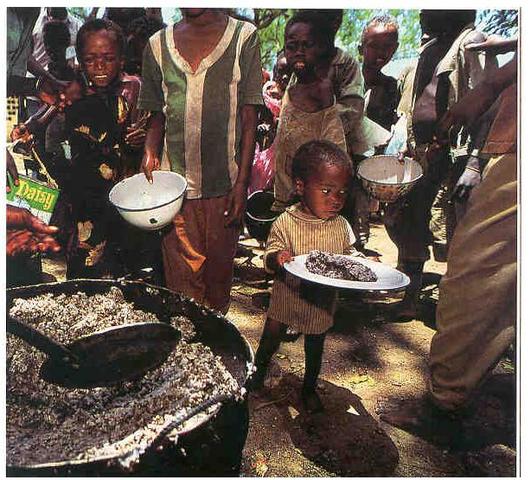 Factors Affecting Social Inequality