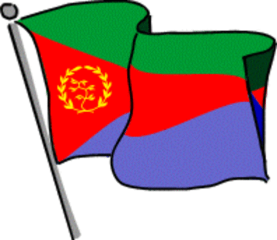 what they should have