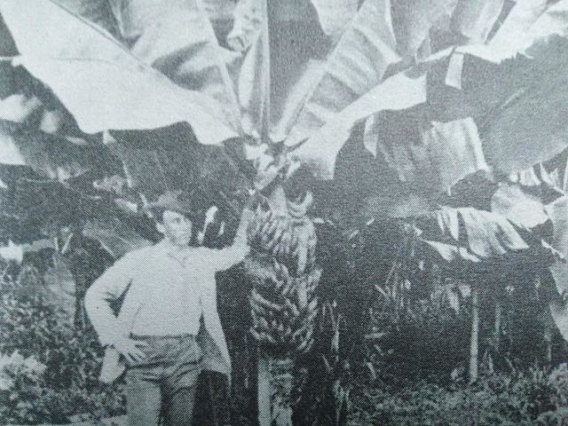 ¡Los tutiles en huelga!