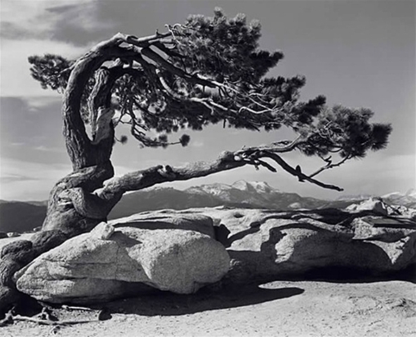 Ansel Adams