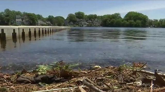 DESGRACIA LAGO FISH FRY