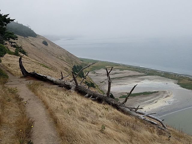 SUCESO DE AGUA EN COUPEVILLE