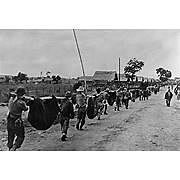bataan death march