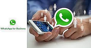 WHATSAPP BUSINESS O EMPRESARIAL