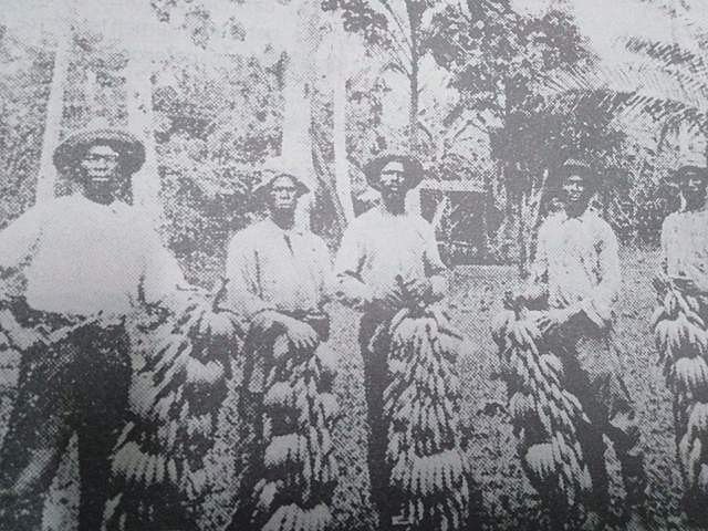 Migrantes jamaiquinos