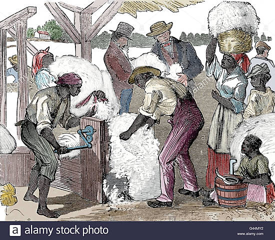 Eli Whitney's Cotton Gin