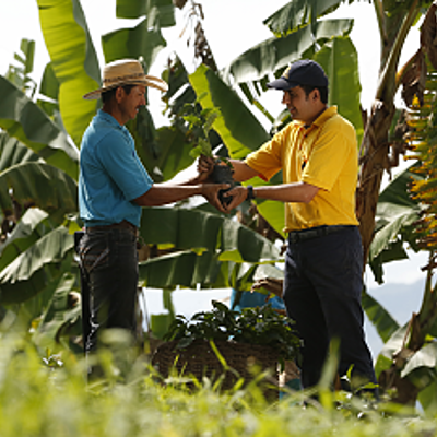 Timeline: EXTENSION RURAL EN COLOMBIA   POR ERWIN JULIAN GUTIERREZ GRAJALES