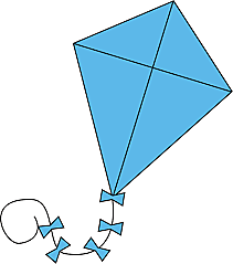 Amir wins the kite race