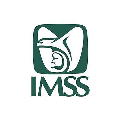 Inicio en el IMSS