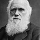 Darwinvida (1)