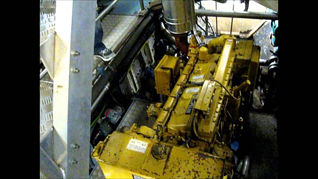 Barcos con cámaras frigoríficas.