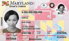 Milestone #3( Young Adult)