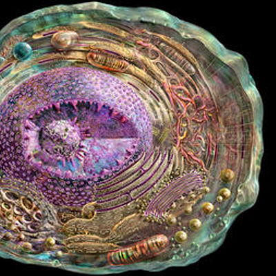 Timeline: Greer Cell Theory Timeline—Raphael K.