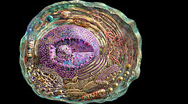Timeline: Greer Cell Theory Timeline—Raphael K.