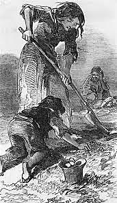 The Potato Famine Begins