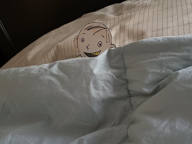 1. Le jour commençait