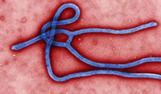 Eerste Ebola uitbraak