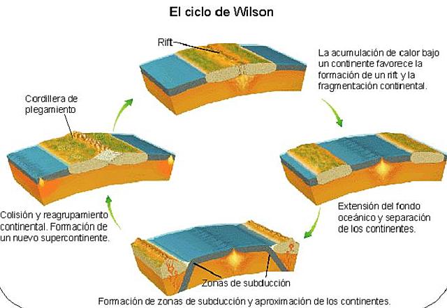 CICLO DE WILSON (Tuzo Wilson)