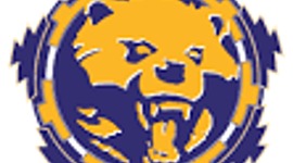 Timeline: My school career