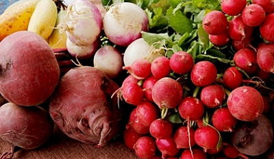 CONVOCATORIA ASIGNACIÓN IAT