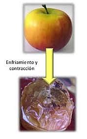 Teoría contracción