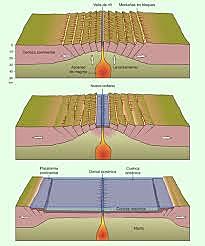 Teoría de la Undación