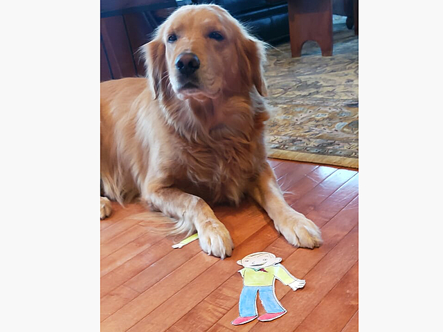 7. L’accident de Clément avec son chien