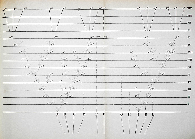Darwins book " Origin of species by means of natural selection"