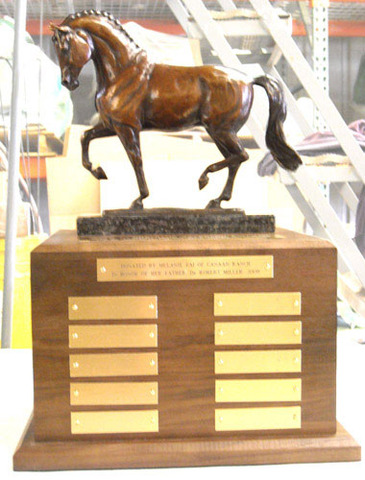 Champion in 3 day eventing courses