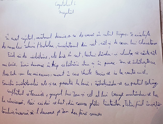 Capitolul I: Inceputul