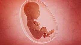 Timeline: adquisición y desarrollo del lenguaje