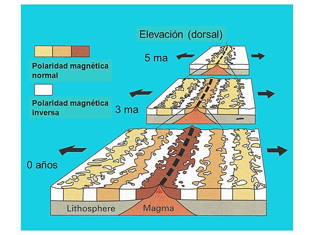 Distribución anómala en bandas magnéticas (Matthews y Vine).