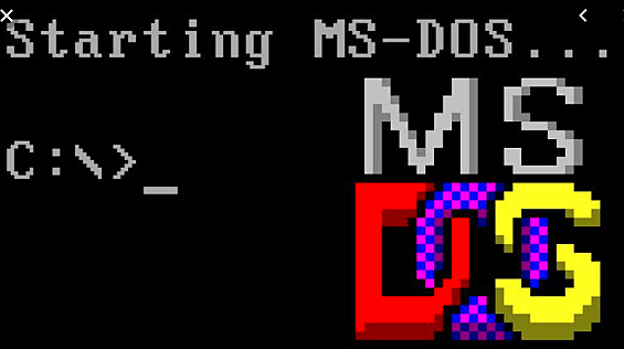 MS DOS