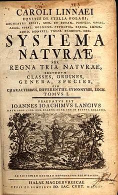 The System of Nature