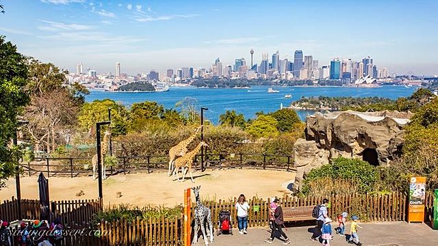 The Taronga Zoo