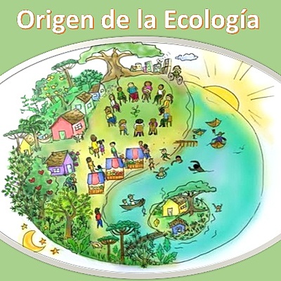 Timeline: La Ecología a través del tiempo
