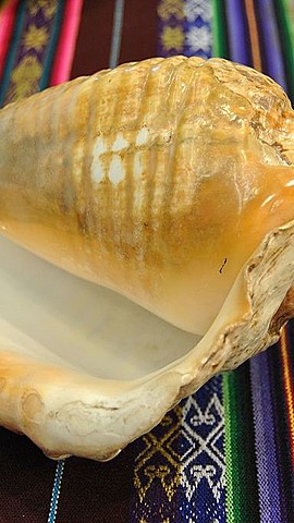 LA UTILIZACIÓN DEL PUTUTU