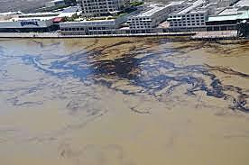 Estudios realizados en Louisiana, Mississippi en Estados Unidos