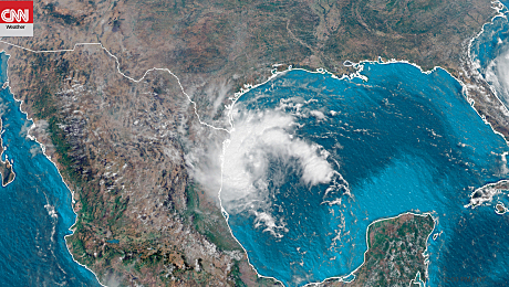 Biorremediación Golfo de México