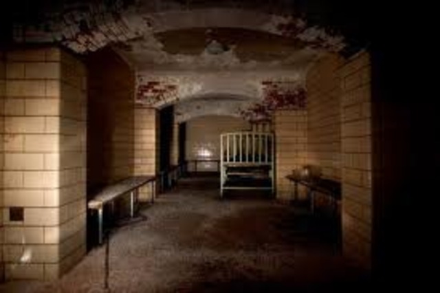 Roland, Mai, and Hayden