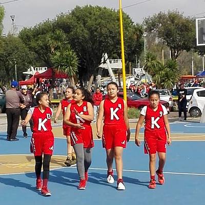 Timeline: etapas del desarrollo