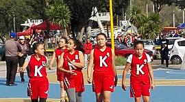 Timeline: etapas del desarrollo