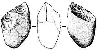 Las primeras herramientas.