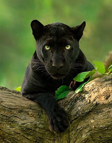 ¡Las vistas increíbles aquí arriba!