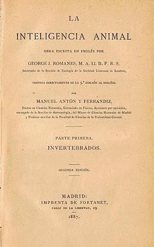 Obra Inteligencia Animal