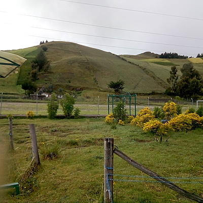 Timeline: Historia educativa