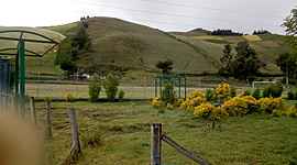 Timeline: Historia educativa