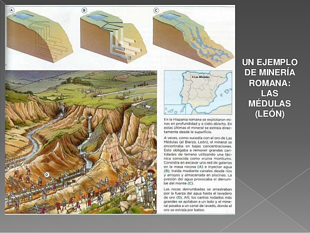 Explotación económica.