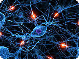 Descubrimiento de impulsos nerviosos