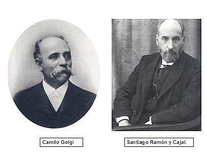 Premio Nobel otorgado a Ramón y Cajal y a Golgi